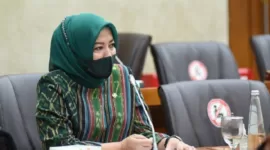 Anggota Komisi VI DPR RI Elly Rachmat Yasin. (Dok. Dpr.go.id) 
