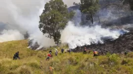 Upaya pemadaman dan monitoring karthula di Bukit Teletubies, kawasan wisata Taman Nasional Bromo Tengger Semeru, Jumat, 31/8/2023. (Dok. BPBD Kabupaten Probolinggo)


