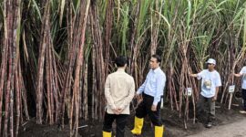 Wamentan Sudaryono menyerahkan traktor dan combine harvester ke petani Ketapang, dia peringatkan larangan jual atau sewa alsintan bantuan negara. (Dok. Kementerian Pertanian)
